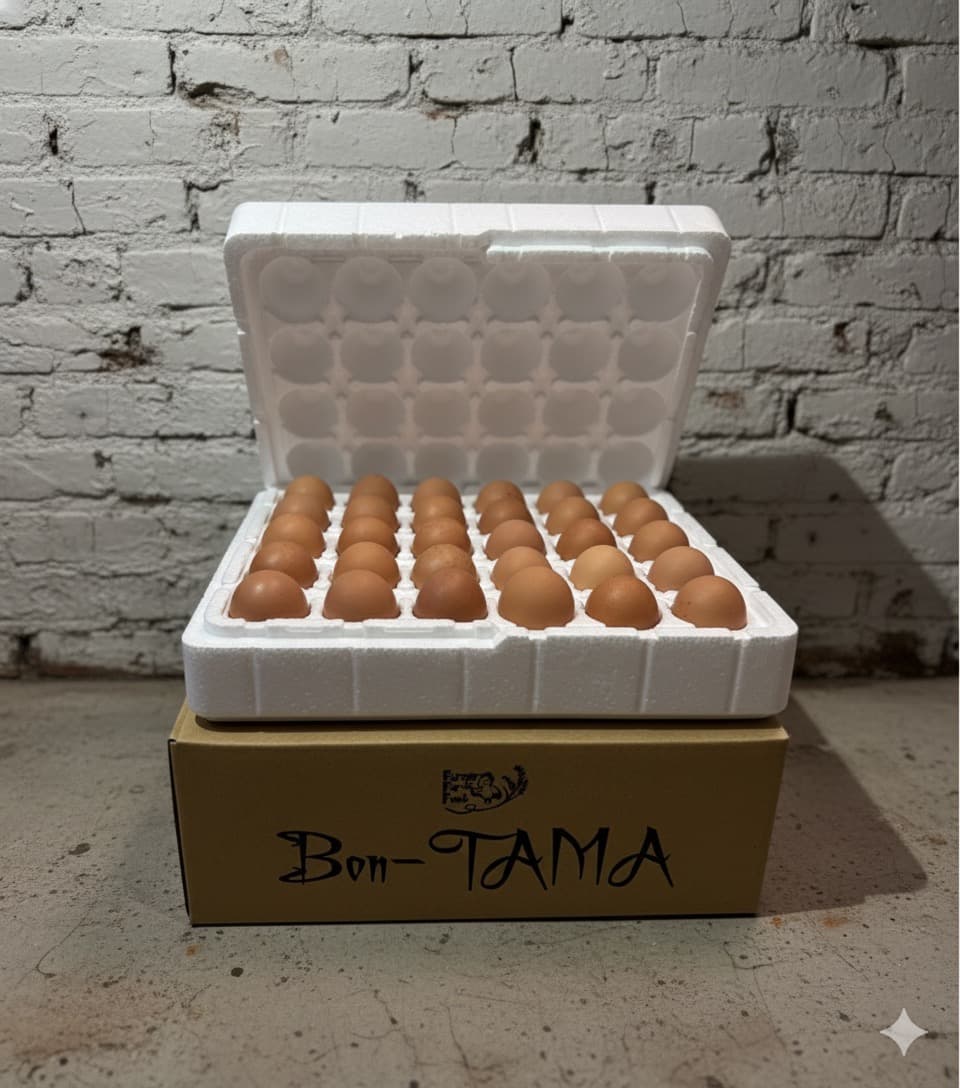 専用緩衝ケース