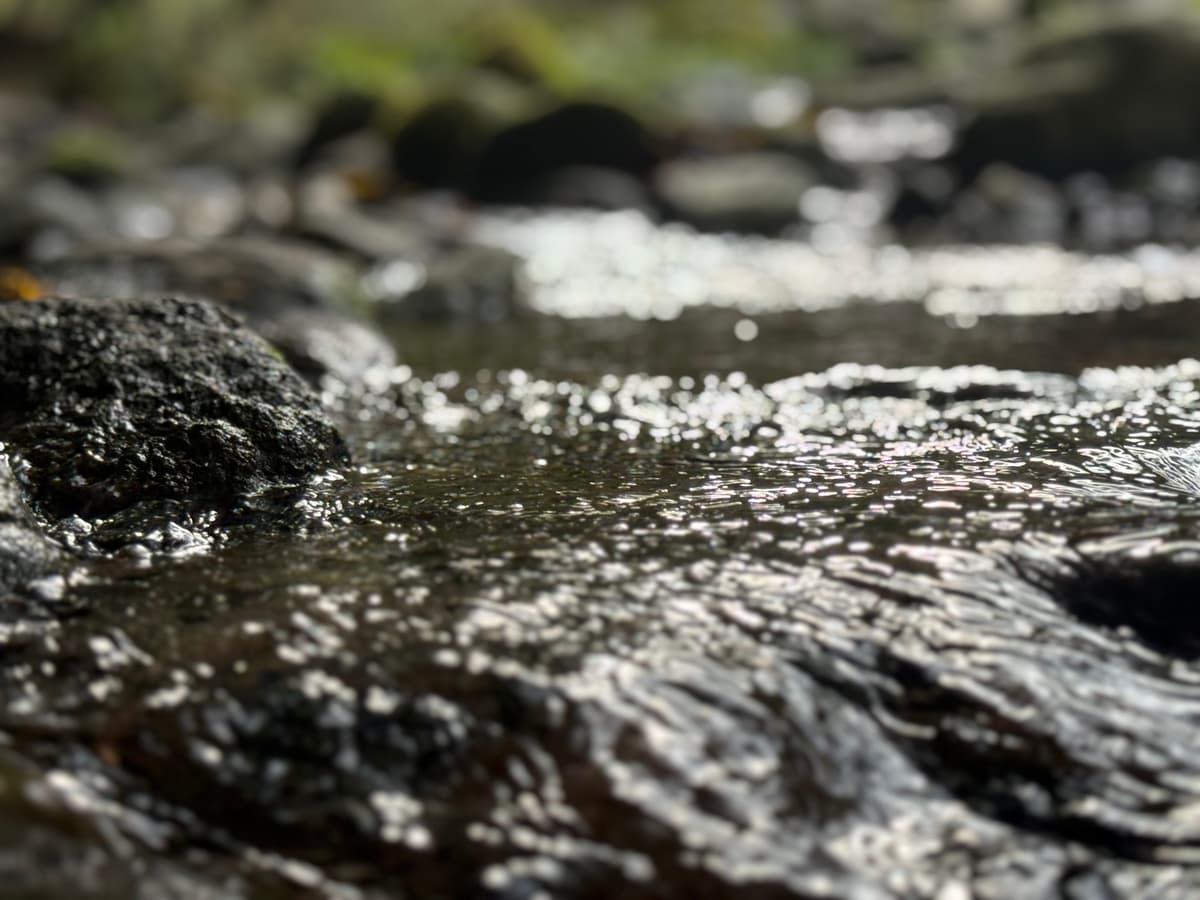 天城山の天然伏流水